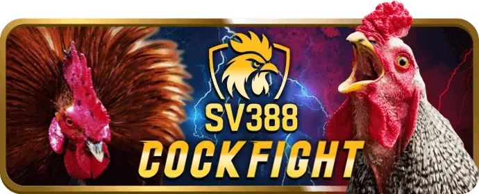 Cá cược quần vợt hi2777